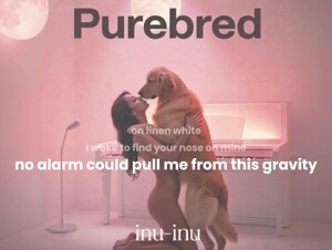 Purebred #8 - Warmth & Fur (Lyrics)