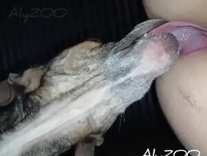 Thumb 9