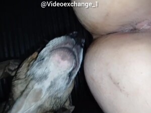 Thumb 6
