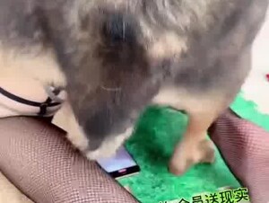 when a farm only left woman and dog