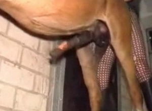 Sweet animal sex action