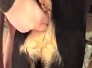 Extreme action with a big-dicked dog