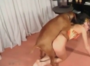 Dog fucks a married zoophile