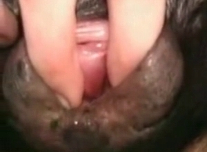 Amateur zoo action with my trained doggy