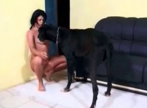 Doberman drilled a tight pussy