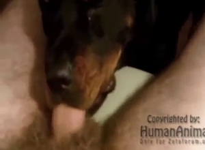 Crazy hot zoo porn with an animal SUCKING