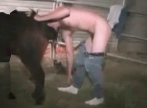 Farm sex with a gorgeous pony