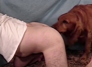 Hairy legs dude dominated by a dog
